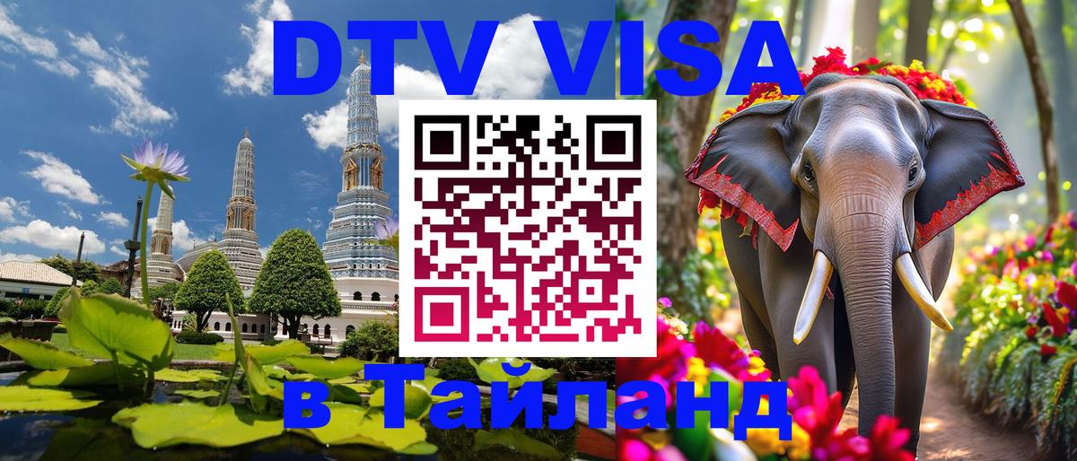 Оформление DTV визы под ключ: стоимость и тарифы, только загранпаспорт - 04.12.2025 